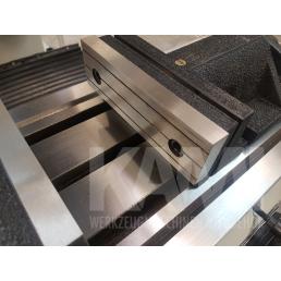 Spanneinrichtung Schraubstock F-200